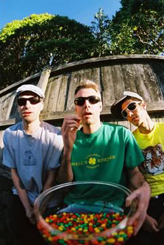 beastieBoys 2-311 (1)
